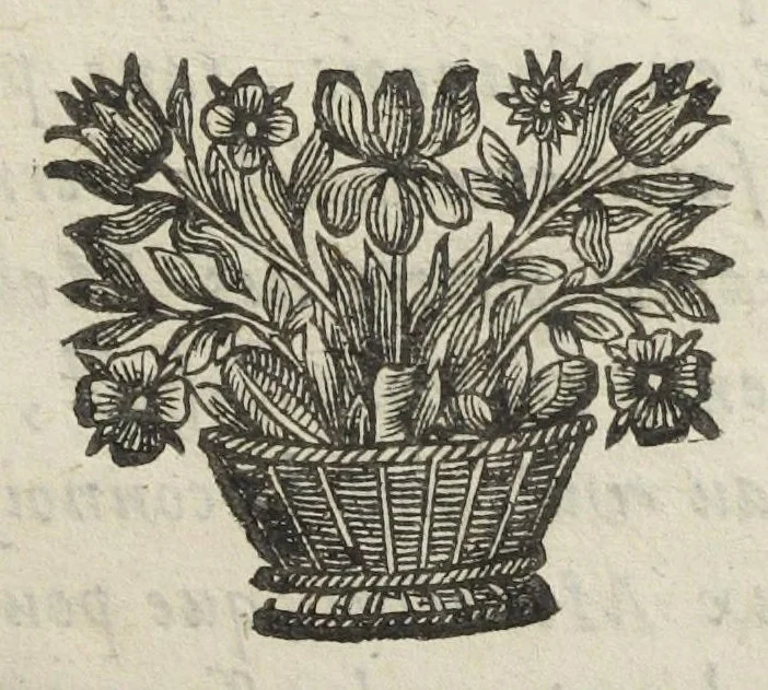 An illustration from Traicté pour la conservation de la santé, et sur la saignee de ce temps, et moyen de remedier aux maladies sans craincte de leur recheute ; avec autres traictez necessaires pour toutes sortes de personnes, en façon & ordre non encore veus, & selon la doctrine des anciens medecins grecs, arabes, latins & françois. ‎Augmenté d'un traicté de Galien, de l'alictement des malades. Apologie contre Jean Terud, fils de Louys, medecin de Paris. Examen du livre intitulé Medecin charitable. Traicté de la physiognomie, avec les figures propres, qui sont au nombre de 53. Dedié à Messieurs les Parisiens, & pourquoy ? Par David L'Aigneau provençal, conseiller & medecin ordinaire du Roy. Troisiesme edition, fort augmentée, vires acquirit eundo., 1650, leaf 555