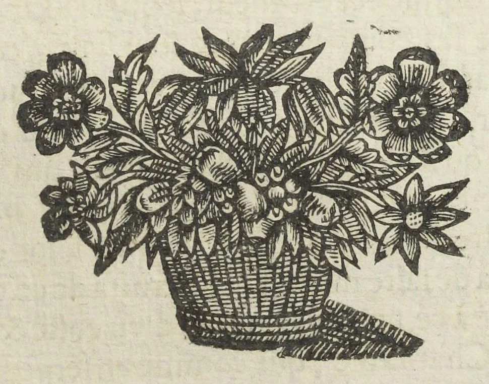 An illustration from Traicté pour la conservation de la santé, et sur la saignee de ce temps, et moyen de remedier aux maladies sans craincte de leur recheute ; avec autres traictez necessaires pour toutes sortes de personnes, en façon & ordre non encore veus, & selon la doctrine des anciens medecins grecs, arabes, latins & françois. ‎Augmenté d'un traicté de Galien, de l'alictement des malades. Apologie contre Jean Terud, fils de Louys, medecin de Paris. Examen du livre intitulé Medecin charitable. Traicté de la physiognomie, avec les figures propres, qui sont au nombre de 53. Dedié à Messieurs les Parisiens, & pourquoy ? Par David L'Aigneau provençal, conseiller & medecin ordinaire du Roy. Troisiesme edition, fort augmentée, vires acquirit eundo., 1650, leaf 649