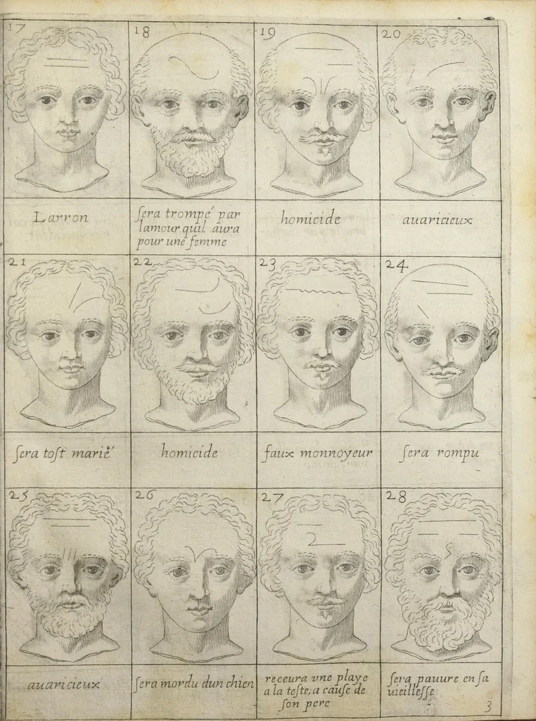 An illustration from Traicté pour la conservation de la santé, et sur la saignee de ce temps, et moyen de remedier aux maladies sans craincte de leur recheute ; avec autres traictez necessaires pour toutes sortes de personnes, en façon & ordre non encore veus, & selon la doctrine des anciens medecins grecs, arabes, latins & françois. ‎Augmenté d'un traicté de Galien, de l'alictement des malades. Apologie contre Jean Terud, fils de Louys, medecin de Paris. Examen du livre intitulé Medecin charitable. Traicté de la physiognomie, avec les figures propres, qui sont au nombre de 53. Dedié à Messieurs les Parisiens, & pourquoy ? Par David L'Aigneau provençal, conseiller & medecin ordinaire du Roy. Troisiesme edition, fort augmentée, vires acquirit eundo., 1650, leaf 745
