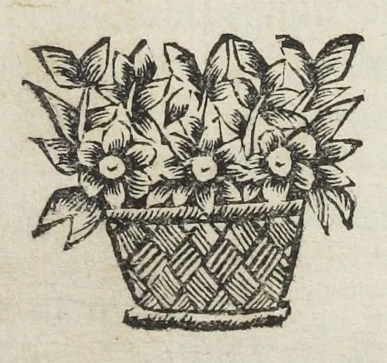 An illustration from Le Cours de médecine en francois, contenant le Miroir de beauté et santé corporelle. Par M. Louys Guyon Dolois, Sieur de la Nauche, Docteur en medecine. Et la Théorie avec un accomplissement de practique selon les principes tant dogmatiques, que chymiques, adjoustées à cette quatriesme edition. Avec une infinité d'observations, secrets & experiences, suivant la doctrine, tant des anciens que des modernes medecins, qui ont inventé & decouvert la circulation du sang, les veines lactées, leur receptacle, les vases lymphées, & autres nouveautez anatomiques & spagyriques : inconnues auparavant. A l'usage des medecins, chirurgiens, apothicaires, & autres ; Et utile aux communautez, hospitaux, & maison de campagne. Par M. Lazare Meyssonnier conseiller & medecin ordinaire du Roy, & de S.A.R. docteur de l'université de Montpellier, & professeur aggregé au College des medecins à Lyon. Où ont esté jointes les figures des plantes necessaires, & celles de l'anatomie en taille douce, pour se servir utilement de ce livre., 1664, leaf 469