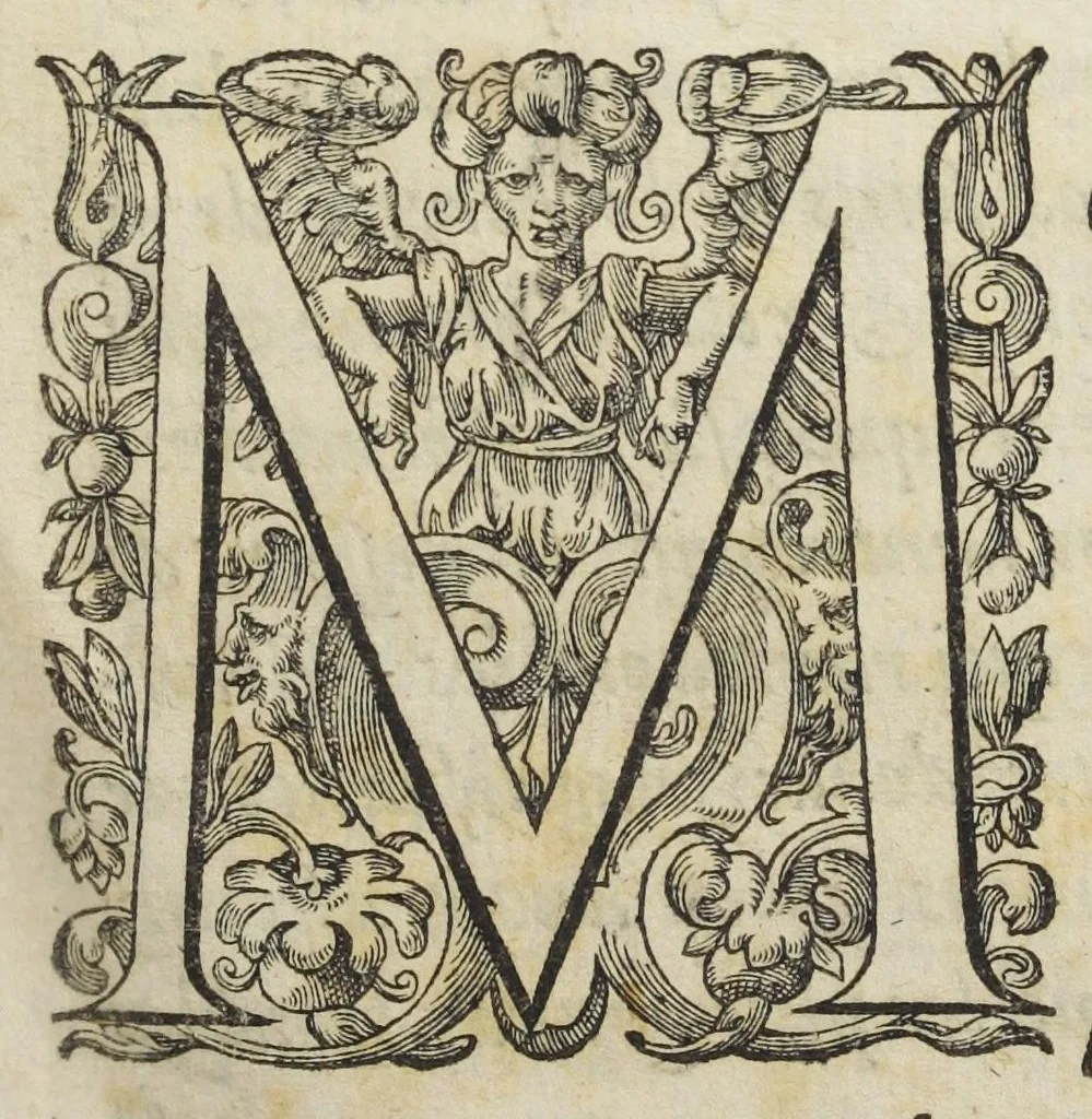 An illustration from Le Cours de médecine en francois, contenant le Miroir de beauté et santé corporelle. Par M. Louys Guyon Dolois, Sieur de la Nauche, Docteur en medecine. Et la Théorie avec un accomplissement de practique selon les principes tant dogmatiques, que chymiques, adjoustées à cette quatriesme edition. Avec une infinité d'observations, secrets & experiences, suivant la doctrine, tant des anciens que des modernes medecins, qui ont inventé & decouvert la circulation du sang, les veines lactées, leur receptacle, les vases lymphées, & autres nouveautez anatomiques & spagyriques : inconnues auparavant. A l'usage des medecins, chirurgiens, apothicaires, & autres ; Et utile aux communautez, hospitaux, & maison de campagne. Par M. Lazare Meyssonnier conseiller & medecin ordinaire du Roy, & de S.A.R. docteur de l'université de Montpellier, & professeur aggregé au College des medecins à Lyon. Où ont esté jointes les figures des plantes necessaires, & celles de l'anatomie en taille douce, pour se servir utilement de ce livre., 1664, leaf 7