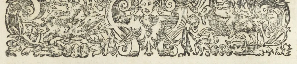 An illustration from Le Cours de médecine en francois, contenant le Miroir de beauté et santé corporelle. Par M. Louys Guyon Dolois, Sieur de la Nauche, Docteur en medecine. Et la Théorie avec un accomplissement de practique selon les principes tant dogmatiques, que chymiques, adjoustées à cette quatriesme edition. Avec une infinité d'observations, secrets & experiences, suivant la doctrine, tant des anciens que des modernes medecins, qui ont inventé & decouvert la circulation du sang, les veines lactées, leur receptacle, les vases lymphées, & autres nouveautez anatomiques & spagyriques : inconnues auparavant. A l'usage des medecins, chirurgiens, apothicaires, & autres ; Et utile aux communautez, hospitaux, & maison de campagne. Par M. Lazare Meyssonnier conseiller & medecin ordinaire du Roy, & de S.A.R. docteur de l'université de Montpellier, & professeur aggregé au College des medecins à Lyon. Où ont esté jointes les figures des plantes necessaires, & celles de l'anatomie en taille douce, pour se servir utilement de ce livre., 1664, leaf 809