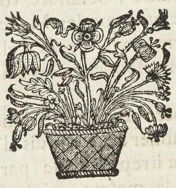 An illustration from Les medecins a la censure. Ou entretiens sur la medecine. Par G. de Bezançon D. M., 1677, leaf 284