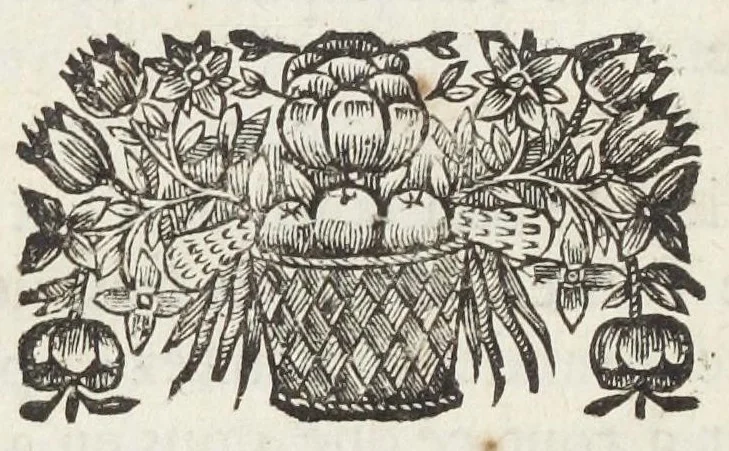An illustration from Les medecins a la censure. Ou entretiens sur la medecine. Par G. de Bezançon D. M., 1677, leaf 64