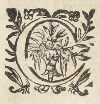 An illustration from Les VII. livres de la physiologie. Composez en latin par Messire Jean Fernel; premier medecin du Roy Henry II. Traduits en françois par Charles de Saint-Germain, escuyer, docteur en la Faculté de medecine, conseiller & medecin ordinaire du Roy, Parisien. Dediez à Monseigneur le procureur general, ministre d'estat, & surintendant des finances., 1655, leaf 18