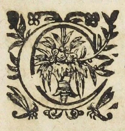An illustration from Les VII. livres de la physiologie. Composez en latin par Messire Jean Fernel; premier medecin du Roy Henry II. Traduits en françois par Charles de Saint-Germain, escuyer, docteur en la Faculté de medecine, conseiller & medecin ordinaire du Roy, Parisien. Dediez à Monseigneur le procureur general, ministre d'estat, & surintendant des finances., 1655, leaf 261
