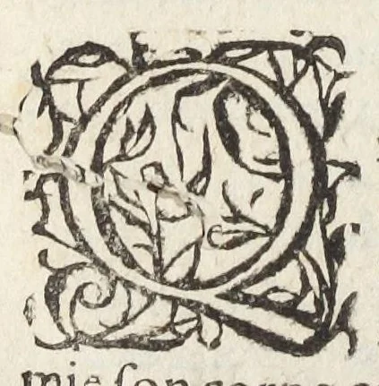 An illustration from Les VII. livres de la physiologie. Composez en latin par Messire Jean Fernel; premier medecin du Roy Henry II. Traduits en françois par Charles de Saint-Germain, escuyer, docteur en la Faculté de medecine, conseiller & medecin ordinaire du Roy, Parisien. Dediez à Monseigneur le procureur general, ministre d'estat, & surintendant des finances., 1655, leaf 362