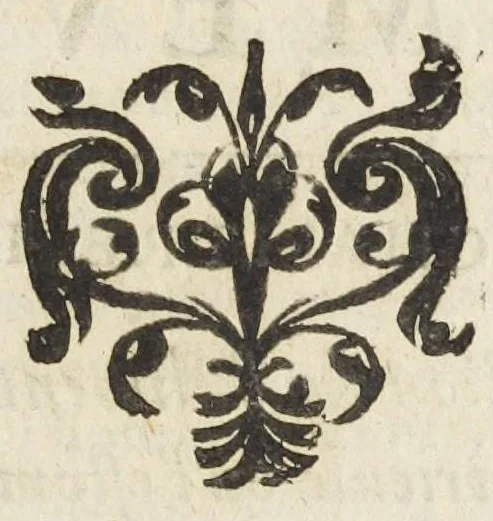 An illustration from Les VII. livres de la physiologie. Composez en latin par Messire Jean Fernel; premier medecin du Roy Henry II. Traduits en françois par Charles de Saint-Germain, escuyer, docteur en la Faculté de medecine, conseiller & medecin ordinaire du Roy, Parisien. Dediez à Monseigneur le procureur general, ministre d'estat, & surintendant des finances., 1655, leaf 551