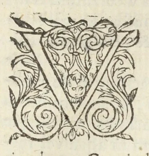 An illustration from Dispensatorium medicum, continens Institutionum pharmaceuticarum lib. V. De materia medica lib. III. Pharmacopoeam itidem sive Antidotarium varium & absolutissimum, auctore Joan. Renodæo Medic. Paris. Regio. Opus hac tertia editione ab auctore infinitis locis emendatum & immutatum, tertia plusquam parte auctum, ac suis indicibus necessariis instructum. Cui accessit Nicolai Epiphanii med. nobiliss. Pharmacon. Empirica., 1623, leaf 109