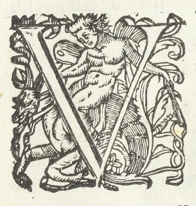 An illustration from Dispensatorium medicum, continens Institutionum pharmaceuticarum lib. V. De materia medica lib. III. Pharmacopoeam itidem sive Antidotarium varium & absolutissimum, auctore Joan. Renodæo Medic. Paris. Regio. Opus hac tertia editione ab auctore infinitis locis emendatum & immutatum, tertia plusquam parte auctum, ac suis indicibus necessariis instructum. Cui accessit Nicolai Epiphanii med. nobiliss. Pharmacon. Empirica., 1623, leaf 138