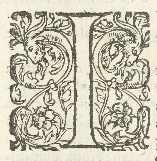 An illustration from Dispensatorium medicum, continens Institutionum pharmaceuticarum lib. V. De materia medica lib. III. Pharmacopoeam itidem sive Antidotarium varium & absolutissimum, auctore Joan. Renodæo Medic. Paris. Regio. Opus hac tertia editione ab auctore infinitis locis emendatum & immutatum, tertia plusquam parte auctum, ac suis indicibus necessariis instructum. Cui accessit Nicolai Epiphanii med. nobiliss. Pharmacon. Empirica., 1623, leaf 208