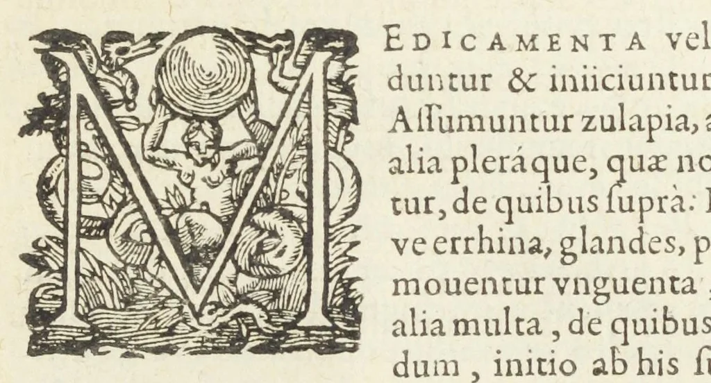 An illustration from Dispensatorium medicum, continens Institutionum pharmaceuticarum lib. V. De materia medica lib. III. Pharmacopoeam itidem sive Antidotarium varium & absolutissimum, auctore Joan. Renodæo Medic. Paris. Regio. Opus hac tertia editione ab auctore infinitis locis emendatum & immutatum, tertia plusquam parte auctum, ac suis indicibus necessariis instructum. Cui accessit Nicolai Epiphanii med. nobiliss. Pharmacon. Empirica., 1623, leaf 231