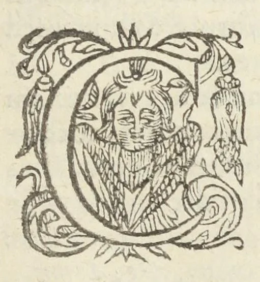 An illustration from Dispensatorium medicum, continens Institutionum pharmaceuticarum lib. V. De materia medica lib. III. Pharmacopoeam itidem sive Antidotarium varium & absolutissimum, auctore Joan. Renodæo Medic. Paris. Regio. Opus hac tertia editione ab auctore infinitis locis emendatum & immutatum, tertia plusquam parte auctum, ac suis indicibus necessariis instructum. Cui accessit Nicolai Epiphanii med. nobiliss. Pharmacon. Empirica., 1623, leaf 301