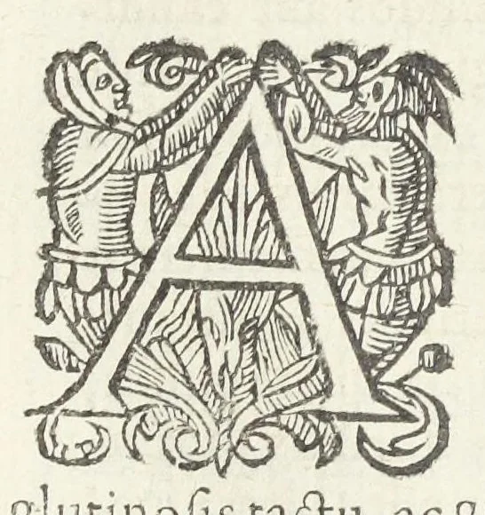 An illustration from Dispensatorium medicum, continens Institutionum pharmaceuticarum lib. V. De materia medica lib. III. Pharmacopoeam itidem sive Antidotarium varium & absolutissimum, auctore Joan. Renodæo Medic. Paris. Regio. Opus hac tertia editione ab auctore infinitis locis emendatum & immutatum, tertia plusquam parte auctum, ac suis indicibus necessariis instructum. Cui accessit Nicolai Epiphanii med. nobiliss. Pharmacon. Empirica., 1623, leaf 362