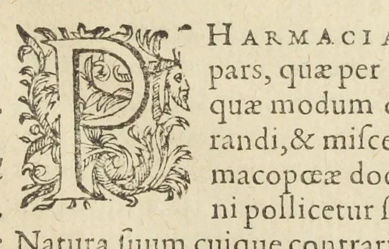An illustration from Dispensatorium medicum, continens Institutionum pharmaceuticarum lib. V. De materia medica lib. III. Pharmacopoeam itidem sive Antidotarium varium & absolutissimum, auctore Joan. Renodæo Medic. Paris. Regio. Opus hac tertia editione ab auctore infinitis locis emendatum & immutatum, tertia plusquam parte auctum, ac suis indicibus necessariis instructum. Cui accessit Nicolai Epiphanii med. nobiliss. Pharmacon. Empirica., 1623, leaf 37