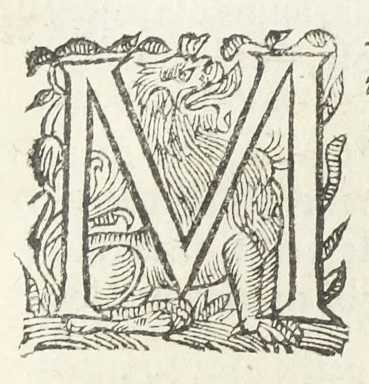 An illustration from Dispensatorium medicum, continens Institutionum pharmaceuticarum lib. V. De materia medica lib. III. Pharmacopoeam itidem sive Antidotarium varium & absolutissimum, auctore Joan. Renodæo Medic. Paris. Regio. Opus hac tertia editione ab auctore infinitis locis emendatum & immutatum, tertia plusquam parte auctum, ac suis indicibus necessariis instructum. Cui accessit Nicolai Epiphanii med. nobiliss. Pharmacon. Empirica., 1623, leaf 404