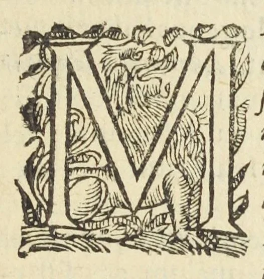 An illustration from Dispensatorium medicum, continens Institutionum pharmaceuticarum lib. V. De materia medica lib. III. Pharmacopoeam itidem sive Antidotarium varium & absolutissimum, auctore Joan. Renodæo Medic. Paris. Regio. Opus hac tertia editione ab auctore infinitis locis emendatum & immutatum, tertia plusquam parte auctum, ac suis indicibus necessariis instructum. Cui accessit Nicolai Epiphanii med. nobiliss. Pharmacon. Empirica., 1623, leaf 519