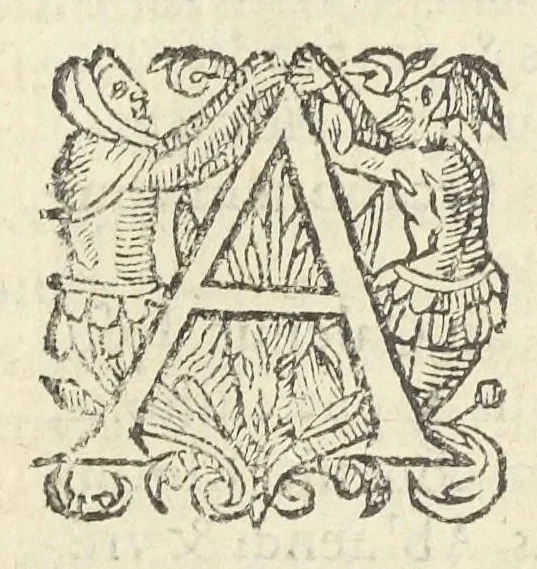 An illustration from Dispensatorium medicum, continens Institutionum pharmaceuticarum lib. V. De materia medica lib. III. Pharmacopoeam itidem sive Antidotarium varium & absolutissimum, auctore Joan. Renodæo Medic. Paris. Regio. Opus hac tertia editione ab auctore infinitis locis emendatum & immutatum, tertia plusquam parte auctum, ac suis indicibus necessariis instructum. Cui accessit Nicolai Epiphanii med. nobiliss. Pharmacon. Empirica., 1623, leaf 524