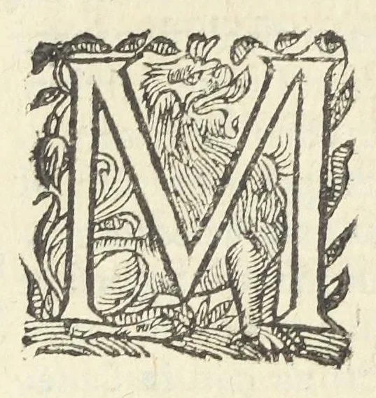 An illustration from Dispensatorium medicum, continens Institutionum pharmaceuticarum lib. V. De materia medica lib. III. Pharmacopoeam itidem sive Antidotarium varium & absolutissimum, auctore Joan. Renodæo Medic. Paris. Regio. Opus hac tertia editione ab auctore infinitis locis emendatum & immutatum, tertia plusquam parte auctum, ac suis indicibus necessariis instructum. Cui accessit Nicolai Epiphanii med. nobiliss. Pharmacon. Empirica., 1623, leaf 540