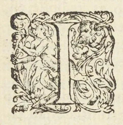 An illustration from Dispensatorium medicum, continens Institutionum pharmaceuticarum lib. V. De materia medica lib. III. Pharmacopoeam itidem sive Antidotarium varium & absolutissimum, auctore Joan. Renodæo Medic. Paris. Regio. Opus hac tertia editione ab auctore infinitis locis emendatum & immutatum, tertia plusquam parte auctum, ac suis indicibus necessariis instructum. Cui accessit Nicolai Epiphanii med. nobiliss. Pharmacon. Empirica., 1623, leaf 551