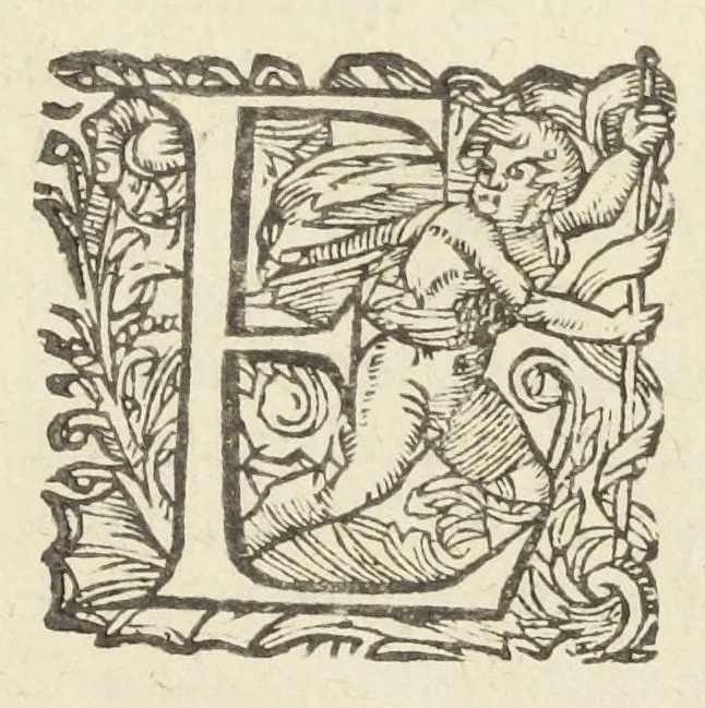 An illustration from Dispensatorium medicum, continens Institutionum pharmaceuticarum lib. V. De materia medica lib. III. Pharmacopoeam itidem sive Antidotarium varium & absolutissimum, auctore Joan. Renodæo Medic. Paris. Regio. Opus hac tertia editione ab auctore infinitis locis emendatum & immutatum, tertia plusquam parte auctum, ac suis indicibus necessariis instructum. Cui accessit Nicolai Epiphanii med. nobiliss. Pharmacon. Empirica., 1623, leaf 573