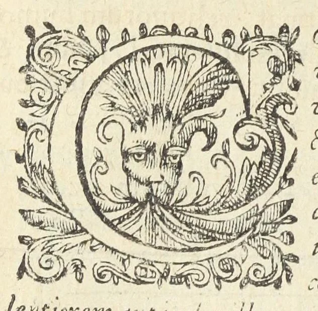 An illustration from Dispensatorium medicum, continens Institutionum pharmaceuticarum lib. V. De materia medica lib. III. Pharmacopoeam itidem sive Antidotarium varium & absolutissimum, auctore Joan. Renodæo Medic. Paris. Regio. Opus hac tertia editione ab auctore infinitis locis emendatum & immutatum, tertia plusquam parte auctum, ac suis indicibus necessariis instructum. Cui accessit Nicolai Epiphanii med. nobiliss. Pharmacon. Empirica., 1623, leaf 658
