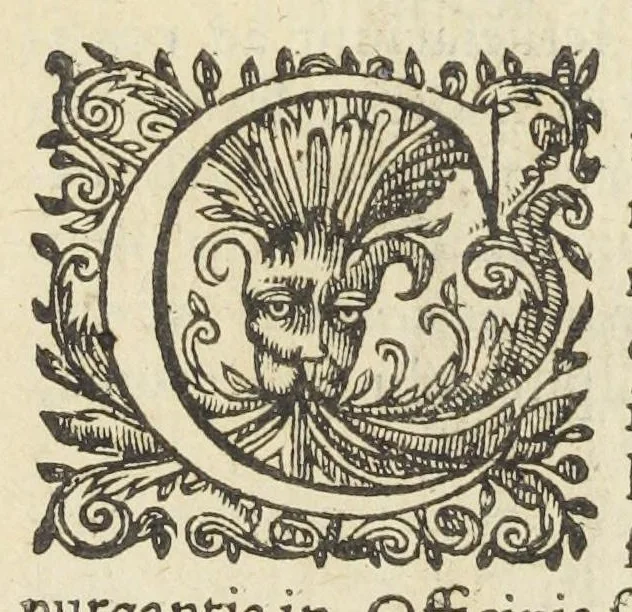 An illustration from Dispensatorium medicum, continens Institutionum pharmaceuticarum lib. V. De materia medica lib. III. Pharmacopoeam itidem sive Antidotarium varium & absolutissimum, auctore Joan. Renodæo Medic. Paris. Regio. Opus hac tertia editione ab auctore infinitis locis emendatum & immutatum, tertia plusquam parte auctum, ac suis indicibus necessariis instructum. Cui accessit Nicolai Epiphanii med. nobiliss. Pharmacon. Empirica., 1623, leaf 685