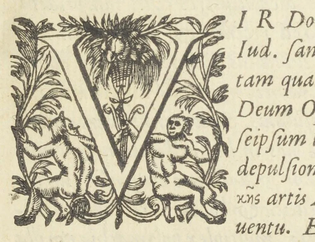An illustration from Dispensatorium medicum, continens Institutionum pharmaceuticarum lib. V. De materia medica lib. III. Pharmacopoeam itidem sive Antidotarium varium & absolutissimum, auctore Joan. Renodæo Medic. Paris. Regio. Opus hac tertia editione ab auctore infinitis locis emendatum & immutatum, tertia plusquam parte auctum, ac suis indicibus necessariis instructum. Cui accessit Nicolai Epiphanii med. nobiliss. Pharmacon. Empirica., 1623, leaf 7
