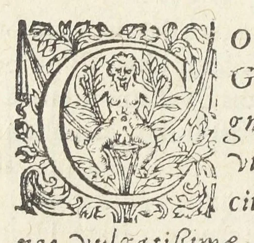 An illustration from Dispensatorium medicum, continens Institutionum pharmaceuticarum lib. V. De materia medica lib. III. Pharmacopoeam itidem sive Antidotarium varium & absolutissimum, auctore Joan. Renodæo Medic. Paris. Regio. Opus hac tertia editione ab auctore infinitis locis emendatum & immutatum, tertia plusquam parte auctum, ac suis indicibus necessariis instructum. Cui accessit Nicolai Epiphanii med. nobiliss. Pharmacon. Empirica., 1623, leaf 710
