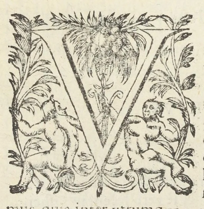 An illustration from Dispensatorium medicum, continens Institutionum pharmaceuticarum lib. V. De materia medica lib. III. Pharmacopoeam itidem sive Antidotarium varium & absolutissimum, auctore Joan. Renodæo Medic. Paris. Regio. Opus hac tertia editione ab auctore infinitis locis emendatum & immutatum, tertia plusquam parte auctum, ac suis indicibus necessariis instructum. Cui accessit Nicolai Epiphanii med. nobiliss. Pharmacon. Empirica., 1623, leaf 757