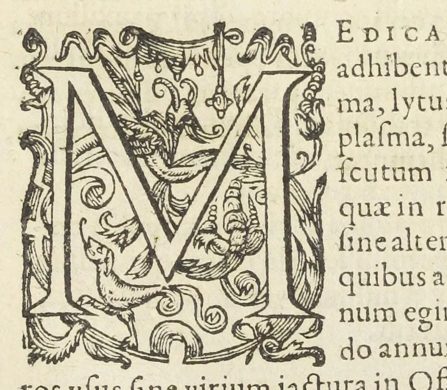 An illustration from Dispensatorium medicum, continens Institutionum pharmaceuticarum lib. V. De materia medica lib. III. Pharmacopoeam itidem sive Antidotarium varium & absolutissimum, auctore Joan. Renodæo Medic. Paris. Regio. Opus hac tertia editione ab auctore infinitis locis emendatum & immutatum, tertia plusquam parte auctum, ac suis indicibus necessariis instructum. Cui accessit Nicolai Epiphanii med. nobiliss. Pharmacon. Empirica., 1623, leaf 833