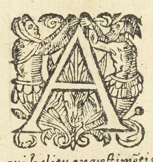 An illustration from Dispensatorium medicum, continens Institutionum pharmaceuticarum lib. V. De materia medica lib. III. Pharmacopoeam itidem sive Antidotarium varium & absolutissimum, auctore Joan. Renodæo Medic. Paris. Regio. Opus hac tertia editione ab auctore infinitis locis emendatum & immutatum, tertia plusquam parte auctum, ac suis indicibus necessariis instructum. Cui accessit Nicolai Epiphanii med. nobiliss. Pharmacon. Empirica., 1623, leaf 893