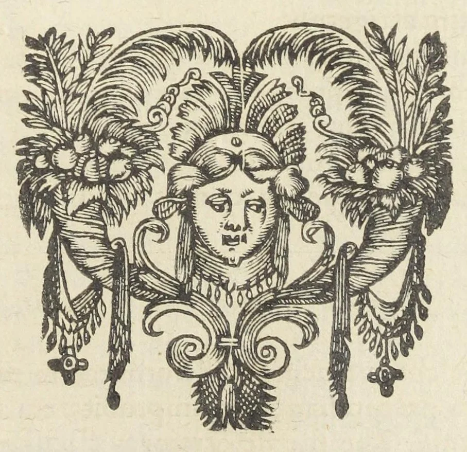An illustration from Dispensatorium medicum, continens Institutionum pharmaceuticarum lib. V. De materia medica lib. III. Pharmacopoeam itidem sive Antidotarium varium & absolutissimum, auctore Joan. Renodæo Medic. Paris. Regio. Opus hac tertia editione ab auctore infinitis locis emendatum & immutatum, tertia plusquam parte auctum, ac suis indicibus necessariis instructum. Cui accessit Nicolai Epiphanii med. nobiliss. Pharmacon. Empirica., 1623, leaf 971