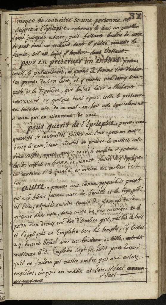 An illustration from "Remèdes et secrets", 1600, leaf 38