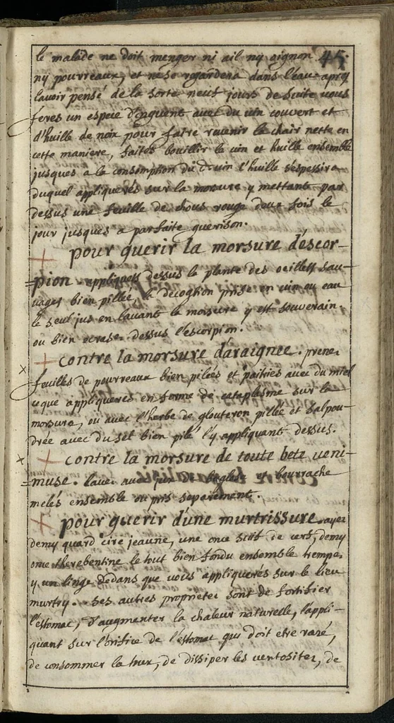 An illustration from "Remèdes et secrets", 1600, leaf 46