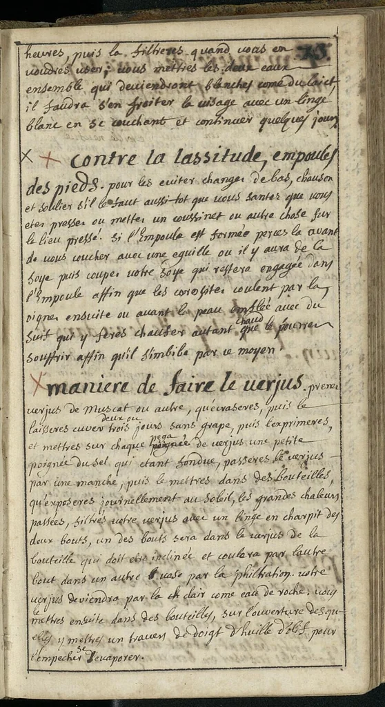 An illustration from "Remèdes et secrets", 1600, leaf 74