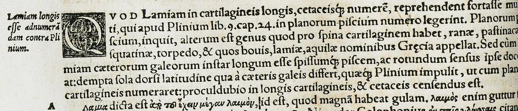 An illustration from Conradi Gesneri medici Tigurini Historiæ animalium liber IIII. Qui est de Piscium & aquatilium animantium natura. Cum iconibus singulorum ad uiuum expressis fere omnib. DCCVI. Continentur in hoc uolumine Gulielmi Rondeletij quoq[ue] medicinæ professoris regij in Schola Monspeliensi et Petri Bellonij Cenomani, medici hoc tempore Lutetiæ eximij, de aquatilium singulis scripta, 1558, leaf 248