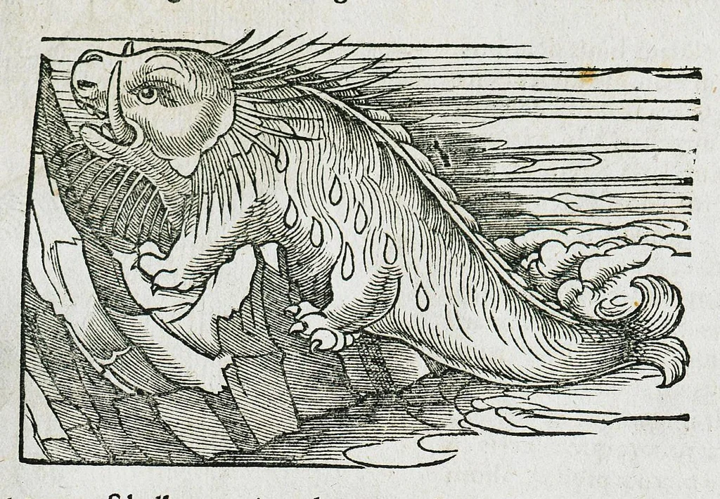 An illustration from Conradi Gesneri medici Tigurini Historiæ animalium liber IIII. Qui est de Piscium & aquatilium animantium natura. Cum iconibus singulorum ad uiuum expressis fere omnib. DCCVI. Continentur in hoc uolumine Gulielmi Rondeletij quoq[ue] medicinæ professoris regij in Schola Monspeliensi et Petri Bellonij Cenomani, medici hoc tempore Lutetiæ eximij, de aquatilium singulis scripta, 1558, leaf 293