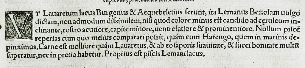 An illustration from Conradi Gesneri medici Tigurini Historiæ animalium liber IIII. Qui est de Piscium & aquatilium animantium natura. Cum iconibus singulorum ad uiuum expressis fere omnib. DCCVI. Continentur in hoc uolumine Gulielmi Rondeletij quoq[ue] medicinæ professoris regij in Schola Monspeliensi et Petri Bellonij Cenomani, medici hoc tempore Lutetiæ eximij, de aquatilium singulis scripta, 1558, leaf 79