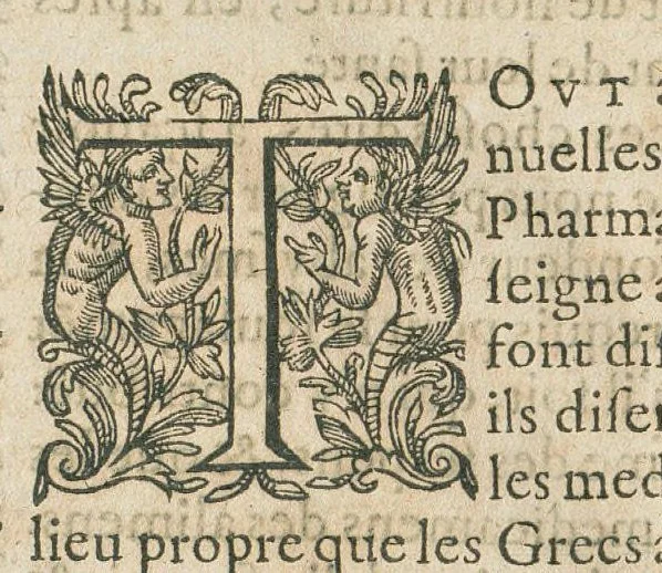 An illustration from Les oeuvres pharmaceutiques du Sr Jean de Renou, conseiller & medecin du roy à Paris : augmentées d'un tiers en cette seconde edition par l'auteur : puis traduittes, embellies de plusieurs figures necessaires à la cognoissance de la medecine & pharmacie, & mises en lumière par M. Louys de Serres dauphinois, docteur en medecine, & aggregé à Lyon. [Suivi de :] Boutique pharmaceutique, ou Antidotaire, distingué en deux parties : la premiere desquelles traicte des medicamens interieurs, & la seconde des exterieurs. Avec une fort briefve, & tres-utile introduction pour tous ceux qui desireront avoir une particuliere entrée en la cognoissance de la pharmacie. Le tout premierement composé en latin, & mis en lumiere par le sieur Jean de Renou, conseiller & medecin du Roy, à Paris. Puis traduit en françois, illustré & augmenté d'un tiers en ceste seconde edition par Mr. Louys de Serres Dauphinois, D. en medecine, & aggregé à Lyon., 1637, leaf 34