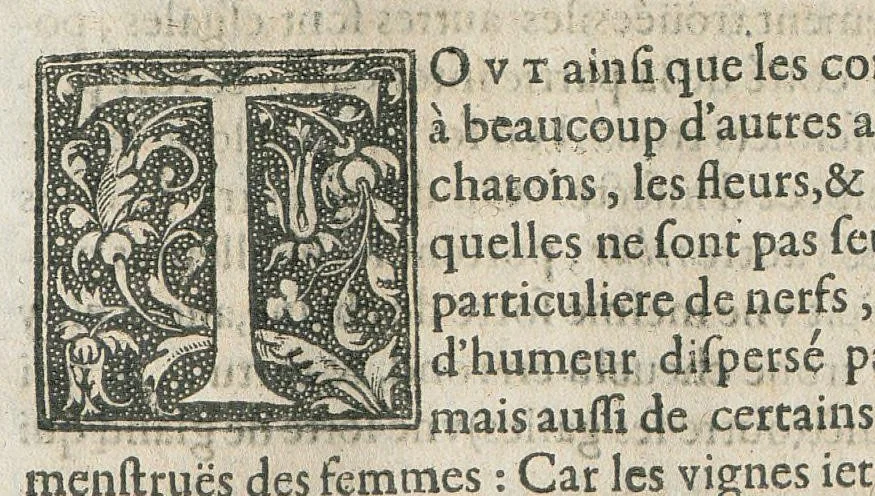 An illustration from Les oeuvres pharmaceutiques du Sr Jean de Renou, conseiller & medecin du roy à Paris : augmentées d'un tiers en cette seconde edition par l'auteur : puis traduittes, embellies de plusieurs figures necessaires à la cognoissance de la medecine & pharmacie, & mises en lumière par M. Louys de Serres dauphinois, docteur en medecine, & aggregé à Lyon. [Suivi de :] Boutique pharmaceutique, ou Antidotaire, distingué en deux parties : la premiere desquelles traicte des medicamens interieurs, & la seconde des exterieurs. Avec une fort briefve, & tres-utile introduction pour tous ceux qui desireront avoir une particuliere entrée en la cognoissance de la pharmacie. Le tout premierement composé en latin, & mis en lumiere par le sieur Jean de Renou, conseiller & medecin du Roy, à Paris. Puis traduit en françois, illustré & augmenté d'un tiers en ceste seconde edition par Mr. Louys de Serres Dauphinois, D. en medecine, & aggregé à Lyon., 1637, leaf 400