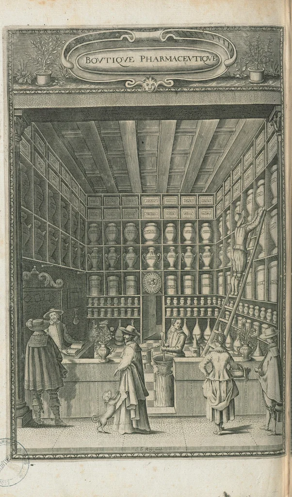 An illustration from Les oeuvres pharmaceutiques du Sr Jean de Renou, conseiller & medecin du roy à Paris : augmentées d'un tiers en cette seconde edition par l'auteur : puis traduittes, embellies de plusieurs figures necessaires à la cognoissance de la medecine & pharmacie, & mises en lumière par M. Louys de Serres dauphinois, docteur en medecine, & aggregé à Lyon. [Suivi de :] Boutique pharmaceutique, ou Antidotaire, distingué en deux parties : la premiere desquelles traicte des medicamens interieurs, & la seconde des exterieurs. Avec une fort briefve, & tres-utile introduction pour tous ceux qui desireront avoir une particuliere entrée en la cognoissance de la pharmacie. Le tout premierement composé en latin, & mis en lumiere par le sieur Jean de Renou, conseiller & medecin du Roy, à Paris. Puis traduit en françois, illustré & augmenté d'un tiers en ceste seconde edition par Mr. Louys de Serres Dauphinois, D. en medecine, & aggregé à Lyon., 1637, leaf 512