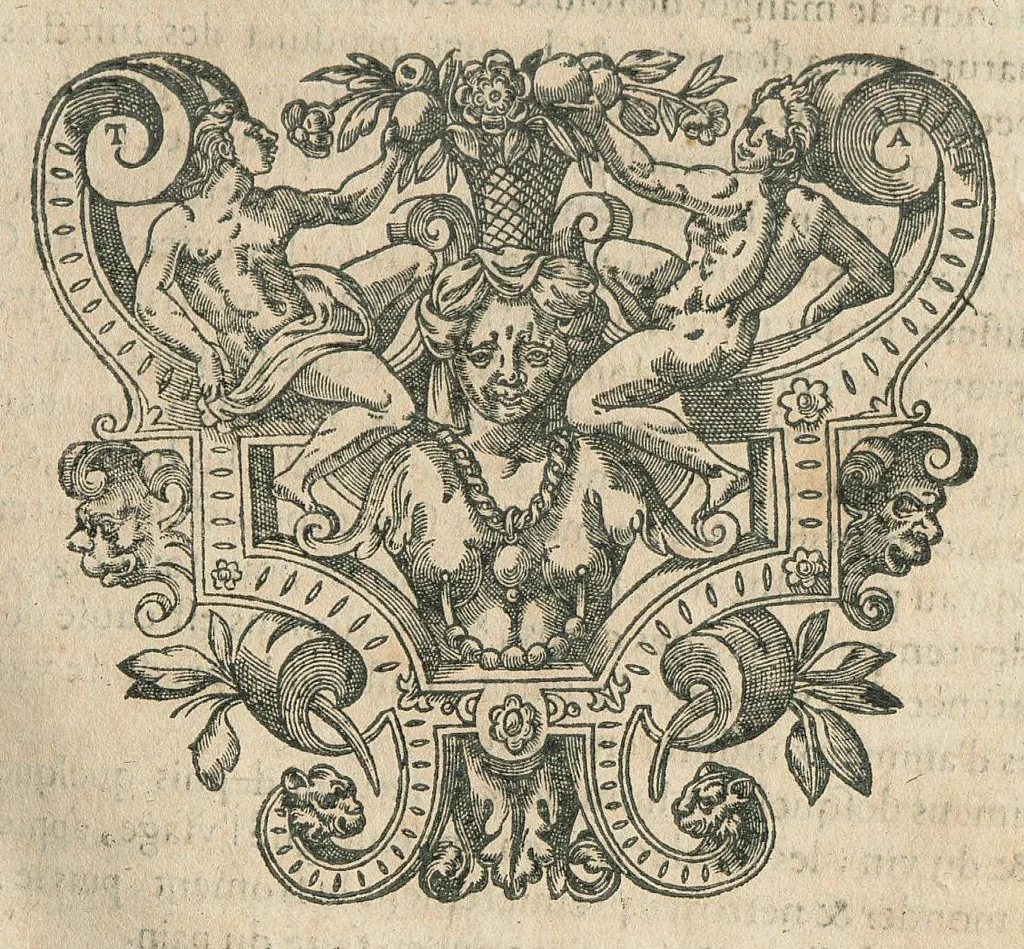 An illustration from Les oeuvres pharmaceutiques du Sr Jean de Renou, conseiller & medecin du roy à Paris : augmentées d'un tiers en cette seconde edition par l'auteur : puis traduittes, embellies de plusieurs figures necessaires à la cognoissance de la medecine & pharmacie, & mises en lumière par M. Louys de Serres dauphinois, docteur en medecine, & aggregé à Lyon. [Suivi de :] Boutique pharmaceutique, ou Antidotaire, distingué en deux parties : la premiere desquelles traicte des medicamens interieurs, & la seconde des exterieurs. Avec une fort briefve, & tres-utile introduction pour tous ceux qui desireront avoir une particuliere entrée en la cognoissance de la pharmacie. Le tout premierement composé en latin, & mis en lumiere par le sieur Jean de Renou, conseiller & medecin du Roy, à Paris. Puis traduit en françois, illustré & augmenté d'un tiers en ceste seconde edition par Mr. Louys de Serres Dauphinois, D. en medecine, & aggregé à Lyon., 1637, leaf 81
