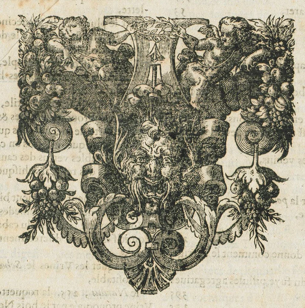 An illustration from Les oeuvres pharmaceutiques du Sr Jean de Renou, conseiller & medecin du roy à Paris : augmentées d'un tiers en cette seconde edition par l'auteur : puis traduittes, embellies de plusieurs figures necessaires à la cognoissance de la medecine & pharmacie, & mises en lumière par M. Louys de Serres dauphinois, docteur en medecine, & aggregé à Lyon. [Suivi de :] Boutique pharmaceutique, ou Antidotaire, distingué en deux parties : la premiere desquelles traicte des medicamens interieurs, & la seconde des exterieurs. Avec une fort briefve, & tres-utile introduction pour tous ceux qui desireront avoir une particuliere entrée en la cognoissance de la pharmacie. Le tout premierement composé en latin, & mis en lumiere par le sieur Jean de Renou, conseiller & medecin du Roy, à Paris. Puis traduit en françois, illustré & augmenté d'un tiers en ceste seconde edition par Mr. Louys de Serres Dauphinois, D. en medecine, & aggregé à Lyon., 1637, leaf 830