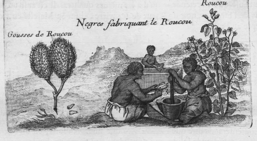 An illustration from Histoire générale des drogues, traitant des plantes, des animaux, & des mineraux ; ouvrage enrichy de plus de quatre cent figures en taille-douce tirées d'aprés nature ; avec un discours qui explique leurs differens noms, les pays d'où elles viennent, la maniere de connoître les veritables d'avec les falsifiées, & leurs proprietez, où l'on découvre l'erreur des anciens & des modernes..., 1694, leaf 349