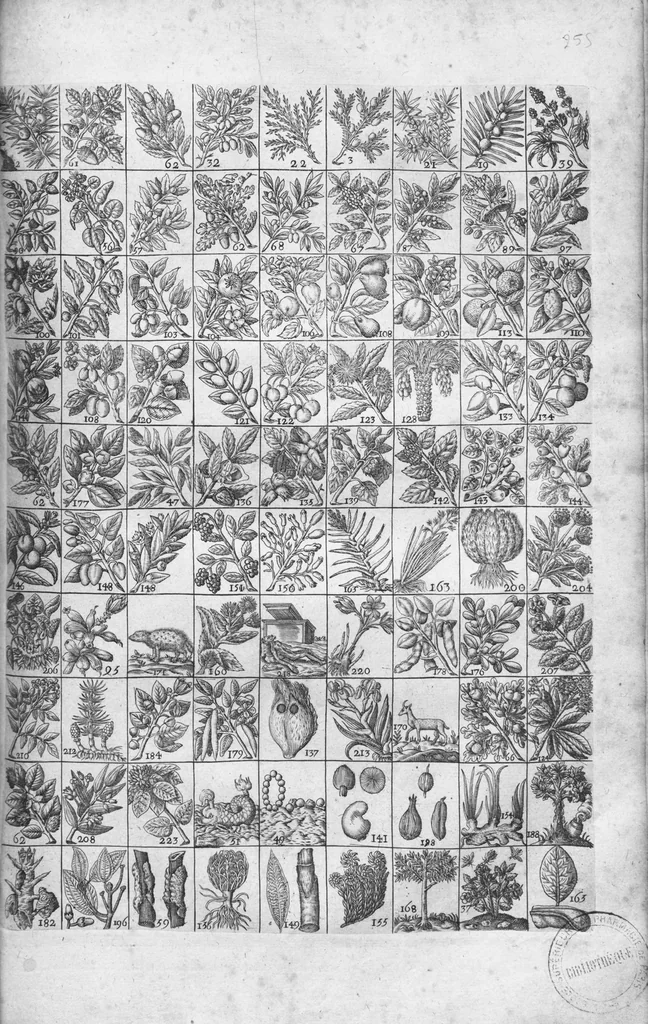 An illustration from Oeuvres de Jacques et Paul Contant pere et fils maistres apoticaires de la ville de Poictiers, 1628, leaf 277