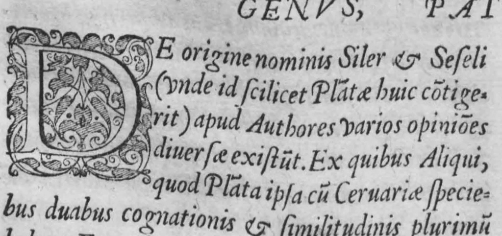 An illustration from Historia, sive descriptio plantarum omnium, tam domesticarum quam exoticarum ..., 1578, leaf 140