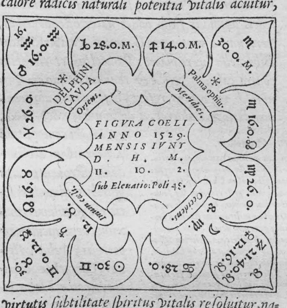 An illustration from Historia, sive descriptio plantarum omnium, tam domesticarum quam exoticarum ..., 1578, leaf 52