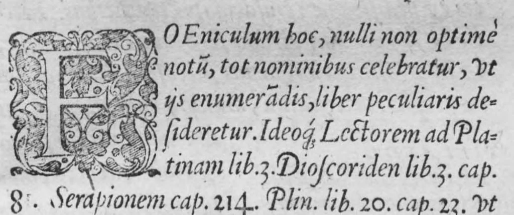 An illustration from Historia, sive descriptio plantarum omnium, tam domesticarum quam exoticarum ..., 1578, leaf 84