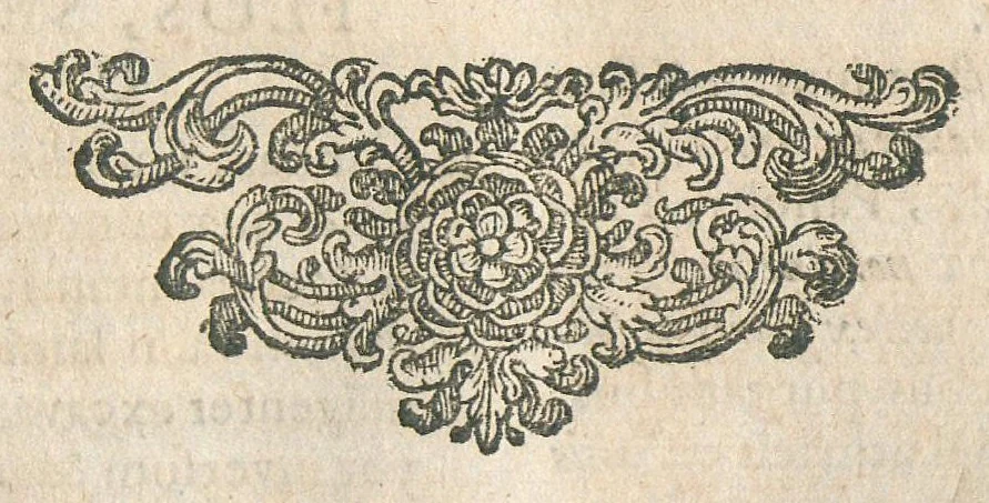 An illustration from Animadversiones in pharmacopoeiam Augustanam et annexam ejus mantissam, sive pharmacopoeia Augustana reformata, in qua vera et accuratissima methodo medicamentorum simplicium & compositorum praeparationes tam dextre traduntur, ac insuper antiquorum errores deteguntur, ut inde servatis & exaltatis simplicium medicaminum facultatibus, instrumenta multo aptiora medico evadant, quibus Cito, Tuto & Jucunde affectus humanum corpus infestantes propulsari queant. Nunc tertium revisa, plurimis locis adaucta, inque lucis edita, cum annexa appendice, Opera & studio Joannis Zwelferi Palatini M.D., 1667, leaf 103